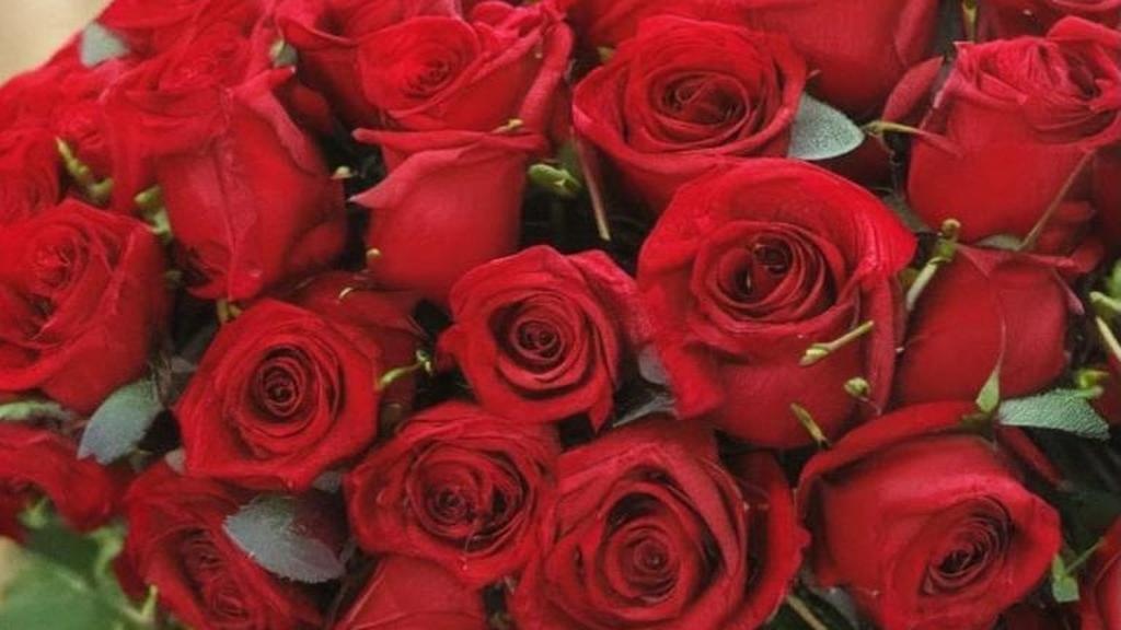 Нарциссические пары: когда токсичная любовь маскируется под идеальные отношения